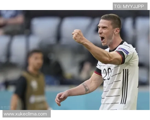 比勒费尔德对阵因戈施塔特精彩直播全程回顾与分析